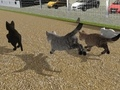 Gra Uruchom Cat Cat Race  w Internecie