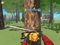 Gra Tarcica 3D  w Internecie