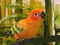 Gra Urocze puzzle Budgie  w Internecie