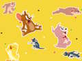 Gra Program Tom i Jerry Znajdź to!  w Internecie