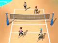 Gra Siatkówka plażowa 3D  w Internecie