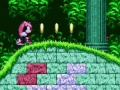 Gra Mighty i Ray w Sonic 2  w Internecie