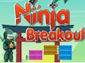 Gra Ucieczka ninja  w Internecie