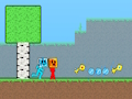 Gra Stickman Ognia i Wody  w Internecie