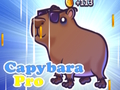 Gra Kapibara Pro  w Internecie