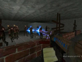 Gra Call of Duty: Zombie  w Internecie