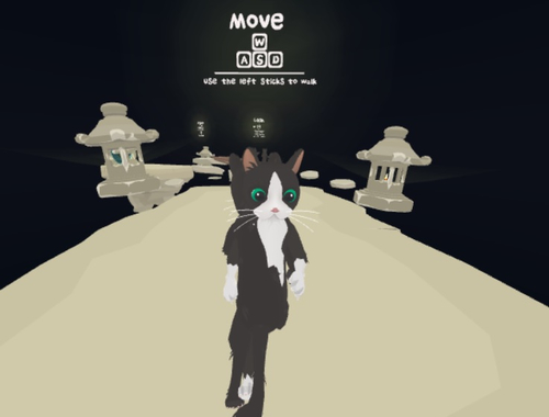 Gra Parkour-kot-wojownik  w Internecie
