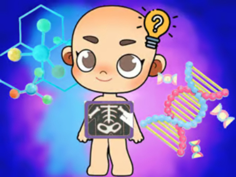 Gra Quiz dla dzieci: Body Science  w Internecie