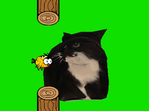 Gra Flappy ptak wirujący oia oia cat  w Internecie