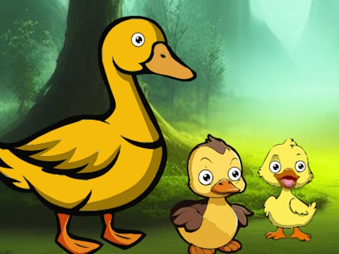 Gra Duck Family Reach staw  w Internecie
