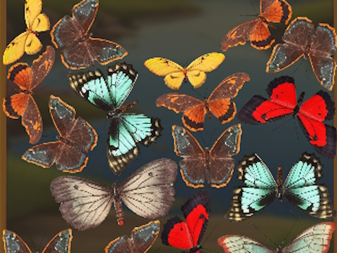 Gra MERGEBUTERFLY: 2048! w Internecie