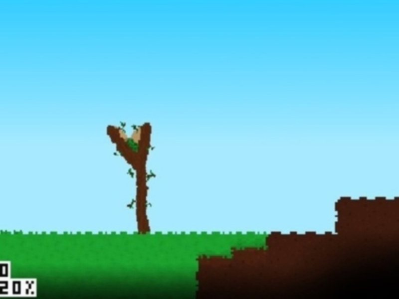 Gra Bloomfire w Internecie
