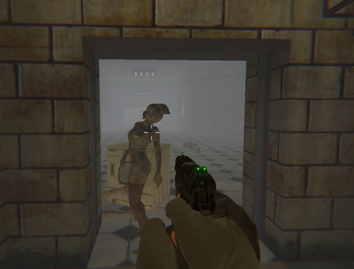 Gra Silent Asylum 2 w Internecie