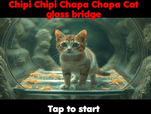 Gra Chimi Chimi Chapa Chapa Cat Glass Bridge  w Internecie